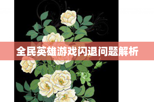 全民英雄游戏闪退问题解析图片