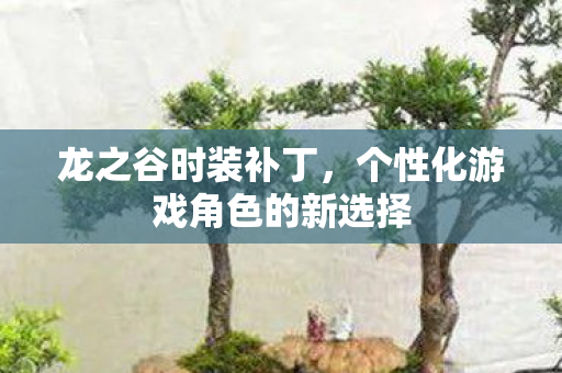 个性化游戏角色的新选择图片