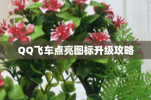 QQ飞车点亮图标升级攻略图片