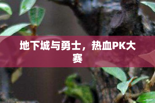 地下城与勇士图片