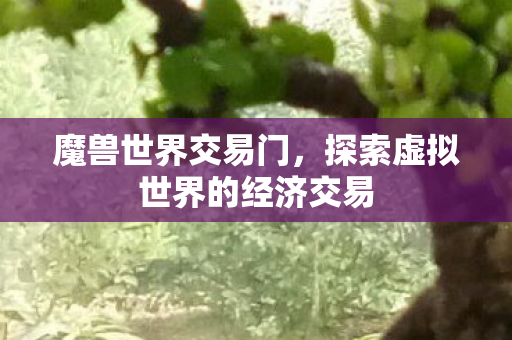 探索虚拟世界的经济交易图片