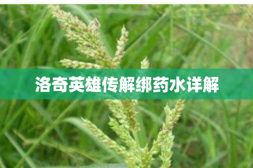 洛奇英雄传解绑药水详解图片