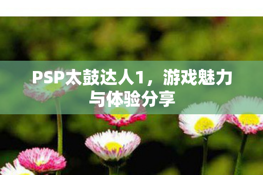 游戏魅力与体验分享图片
