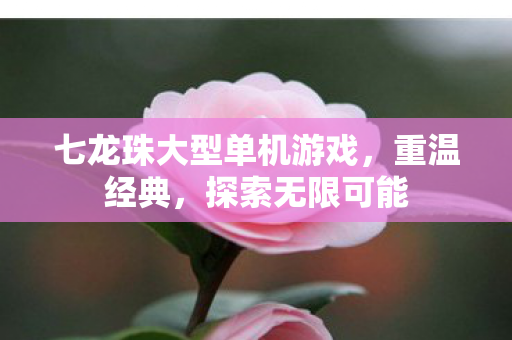 七龙珠大型单机游戏图片