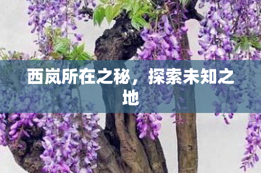 西岚所在之秘图片