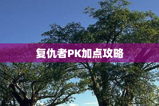 复仇者PK加点攻略图片