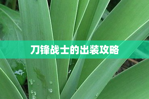 刀锋战士的出装攻略图片