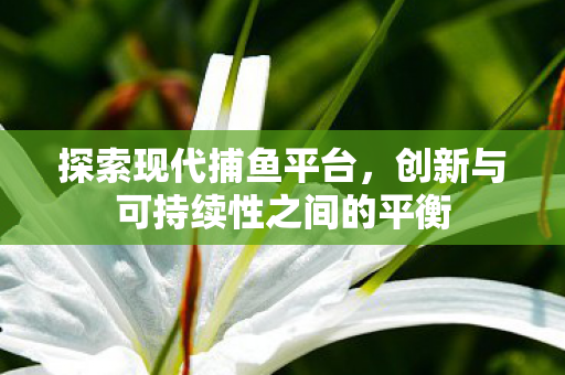 创新与可持续性之间的平衡图片