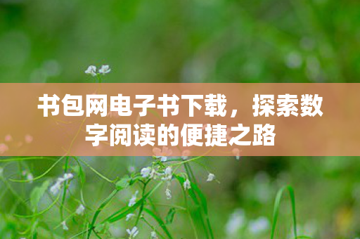 探索数字阅读的便捷之路图片