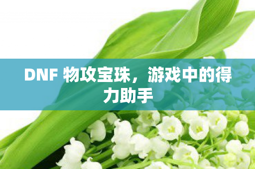 DNF 物攻宝珠图片