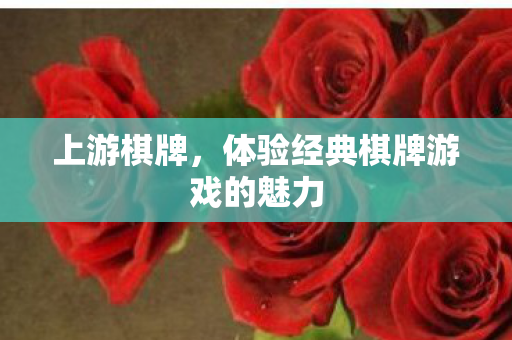 体验经典棋牌游戏的魅力图片