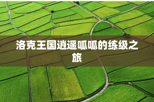 洛克王国逍遥呱呱的练级之旅图片
