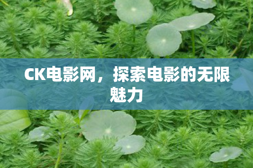 探索电影的无限魅力图片