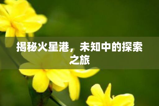 未知中的探索之旅图片