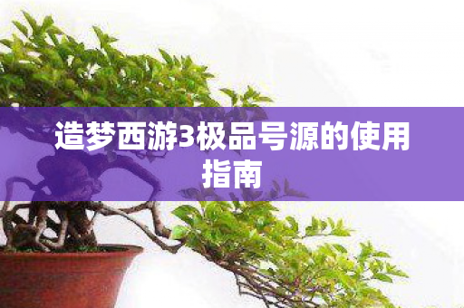 造梦西游3极品号源的使用指南图片