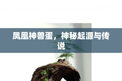 神秘起源与传说图片