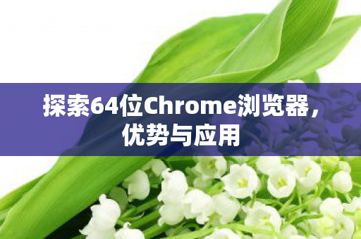 探索64位Chrome浏览器图片