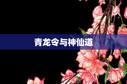 青龙令与神仙道图片