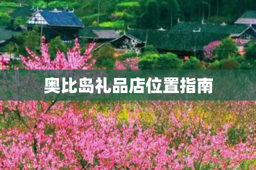 奥比岛礼品店位置指南图片