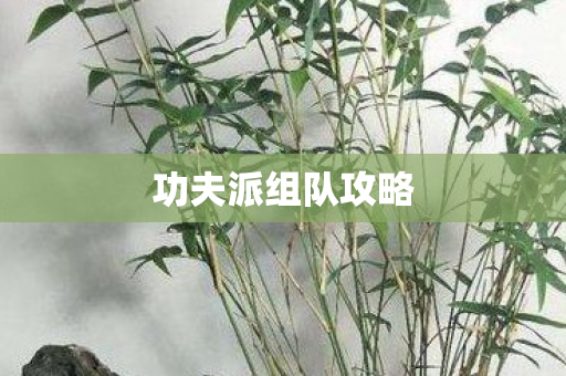 功夫派组队攻略图片
