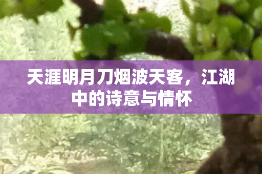 天涯明月刀烟波天客图片