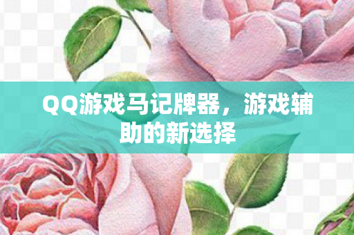 QQ游戏马记牌器图片