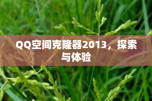 QQ空间克隆器2013图片