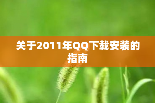 关于2011年QQ下载安装的指南图片