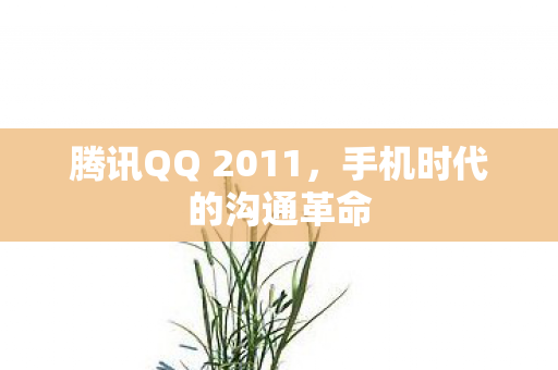 腾讯QQ 2011图片