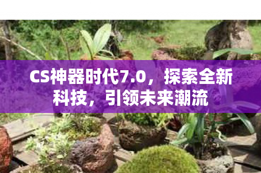 CS神器时代7图片