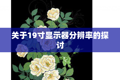 关于19寸显示器分辨率的探讨图片