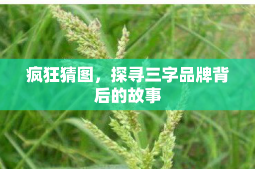 探寻三字品牌背后的故事图片