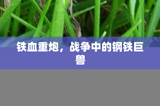 战争中的钢铁巨兽图片