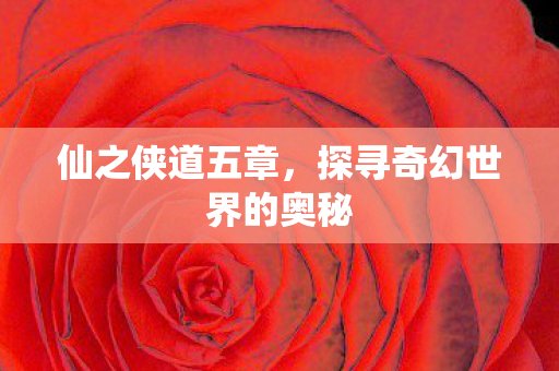 探寻奇幻世界的奥秘图片