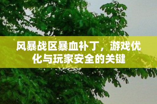 游戏优化与玩家安全的关键图片