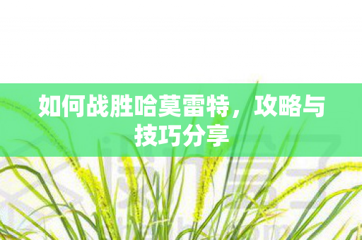 如何战胜哈莫雷特图片