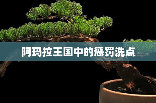 阿玛拉王国中的惩罚洗点图片