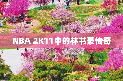 NBA 2K11中的林书豪传奇图片