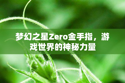 梦幻之星Zero金手指图片