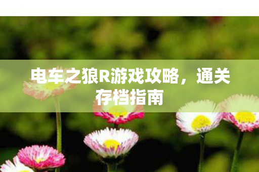 电车之狼R游戏攻略图片