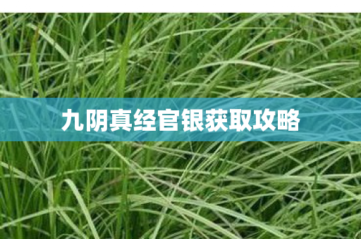 九阴真经官银获取攻略图片