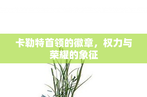 卡勒特首领的徽章图片