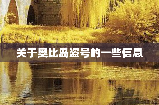 关于奥比岛盗号的一些信息图片