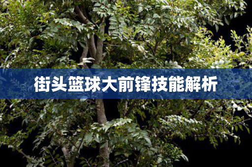 街头篮球大前锋技能解析图片