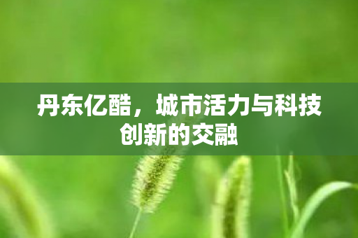 城市活力与科技创新的交融图片