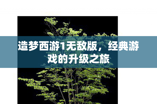 经典游戏的升级之旅图片