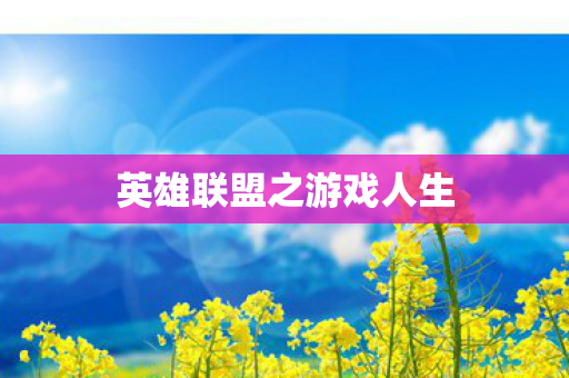 英雄联盟之游戏人生图片