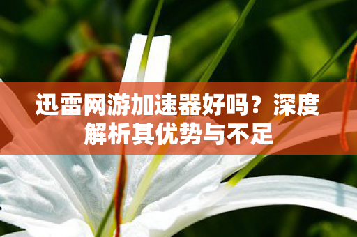 深度解析其优势与不足图片