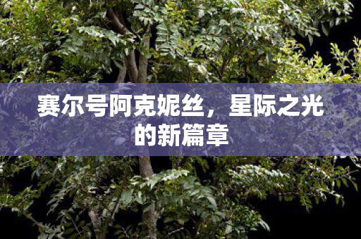 星际之光的新篇章图片