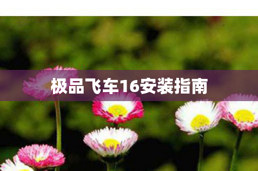 极品飞车16安装指南图片